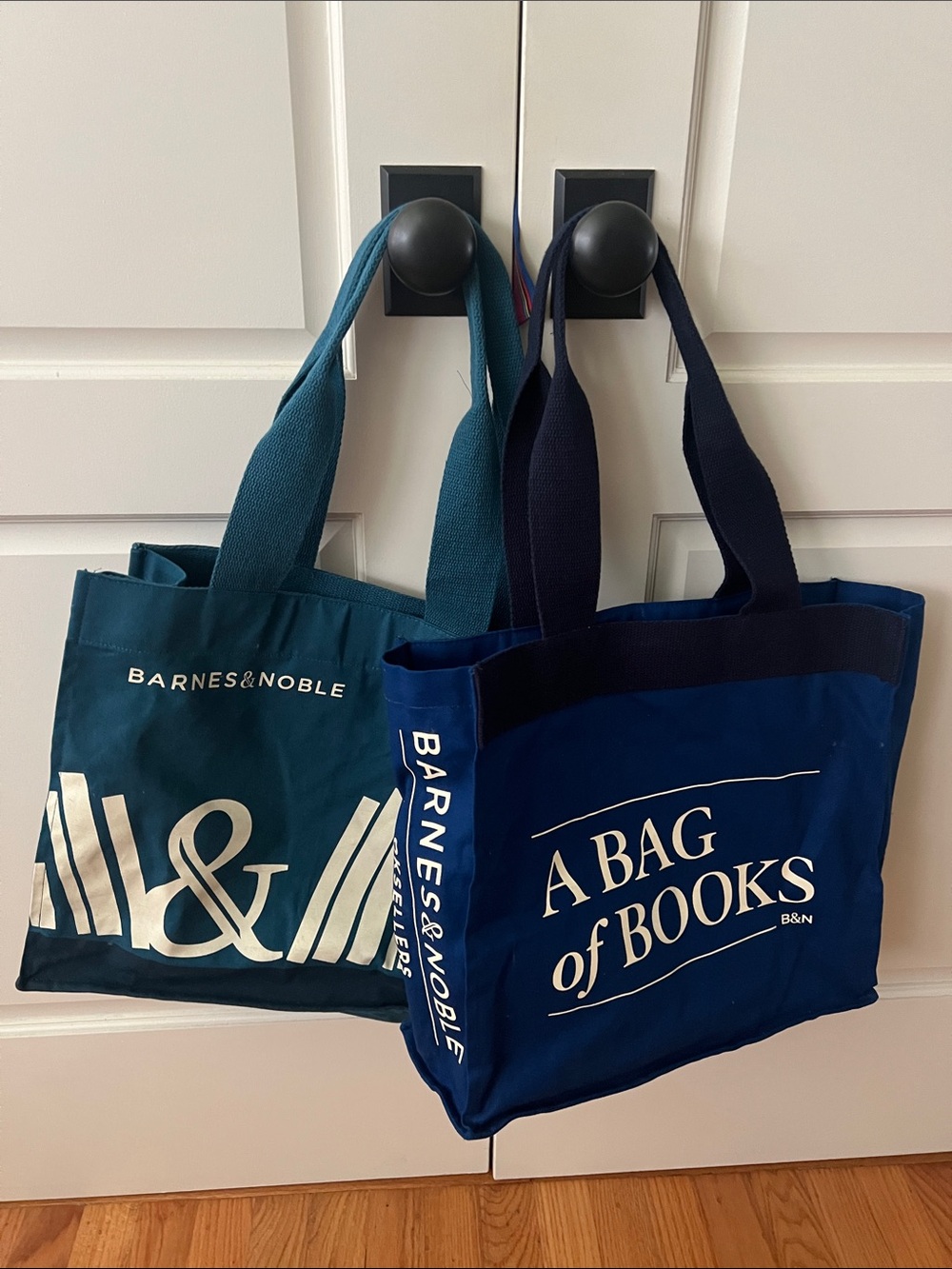 PAIR of Barnes & Noble A BAG of BOOKS Tote Bags - teal and deep royal blue